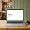The Money In tab of The Cash Flow Forecaster - expected payments with realistic dates and likelihood - AJNEXA